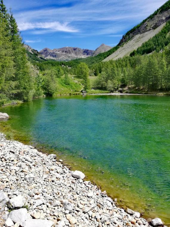 Chambre Aux Gorges De Daluis ギヨーム エクステリア 写真
